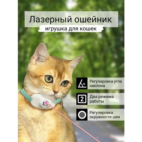 фото Игрушка для кошек интерактивный лазерный ошейник