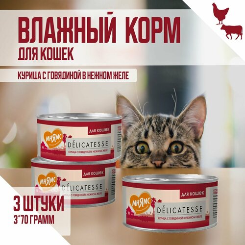 фото Влажный дополнительный корм Мнямс для кошек, Курица с говядиной в нежном желе, 70г х 3шт