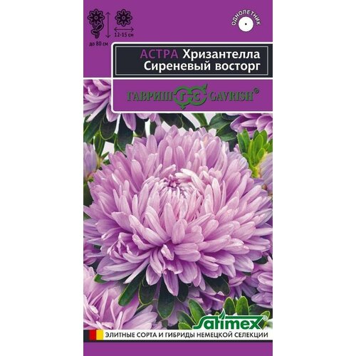 фото Семена Астра Хризантелла Сиреневый восторг 0.05г Одн 80см (Гавриш), заказать за 158 рублей