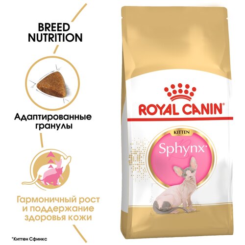 фото Сухой корм для котят Royal Canin Kitten Sphynx для котят породы Сфинкс от 4 до 12 месяцев 2 шт. х 400 г