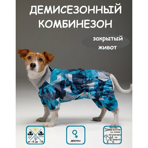 фото Комбинезон для собак DOGMODA Классик девочка мята размер 3