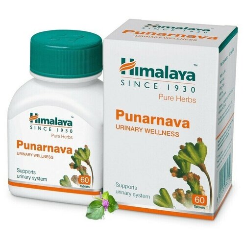 фото Пунарнава Himalaya Wellness Pure Herb 60 таб.