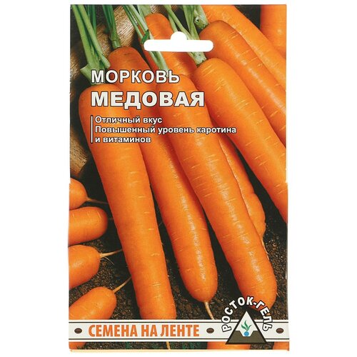 фото Семена Морковь 