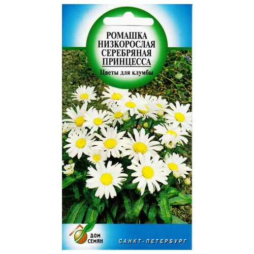 Ромашка многолетняя низкорослая Серебряная Принцесса, 80 семян фото