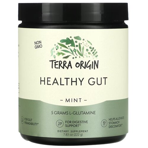 фото Terra origin, healthy gut, добавка для нормализации функции желудочно-кишечного тракта, вкус мята, 222 гр