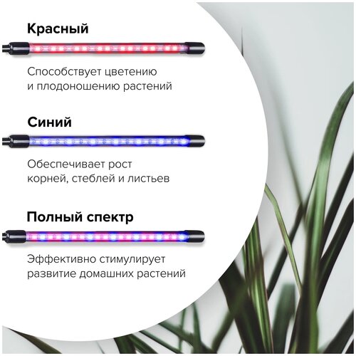 фото Фитолампа для рассады и растений полного спектра, лампа для растений светодиодная, фито лампа, 2 фитосветильника светодиодных для растений