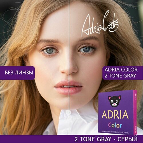 фото Контактные линзы ADRIA Color 2 tone, 2 шт., R 8,6, D -2, gray, 1 уп.