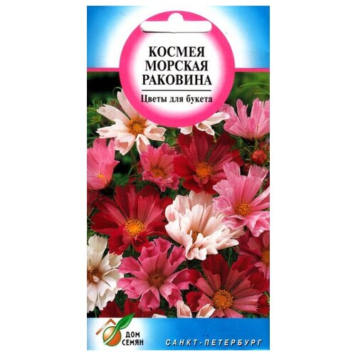 Космея Морская раковина, 40 семян фото