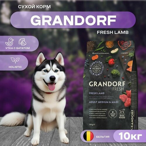 фото Сухой корм GRANDORF Fresh Dog Adult MED&MAXI Duck&Sweet Potato для собак средних и крупных пород из свежего мяса утки с бататом, 10 кг