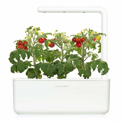 фото Click And Grow Умный сад Click And Grow Smart Garden 3 томат черри (белый)