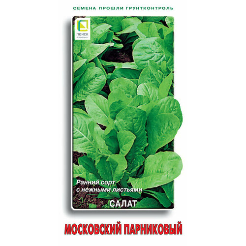 фото Семена Салат Московский парниковый листовой 1г Ранние (Поиск), заказать за 36 рублей