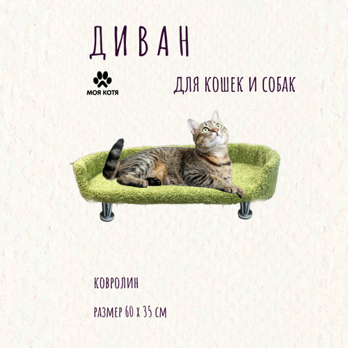 фото Лежанка для кошек и собак Моя Котя фисташковая