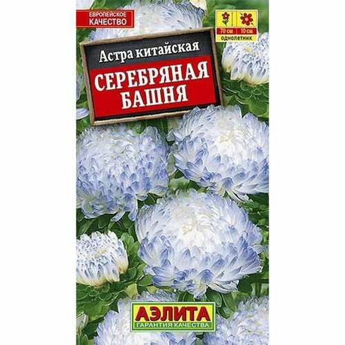 Семена Астра Башня Серебряная, однолетник, (Аэлита) 0,2г фото