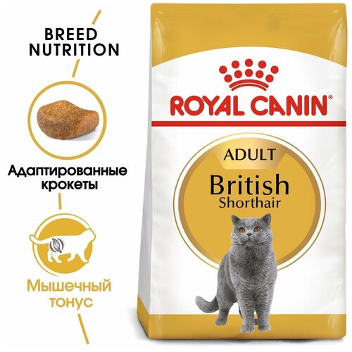 фото Корм сухой для кошек ROYAL CANIN British Shorthair 400г британской короткошерстной породы, 3 шт