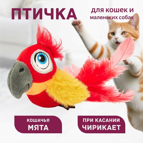 фото Игрушка для кошек антистресс 