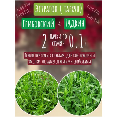 Эстрагон Грибовский и Эстрагон Гудвин 2 пакета по 0,1г семян фото