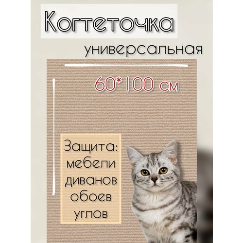 фото Когтеточка самоклеящаяся для кошек