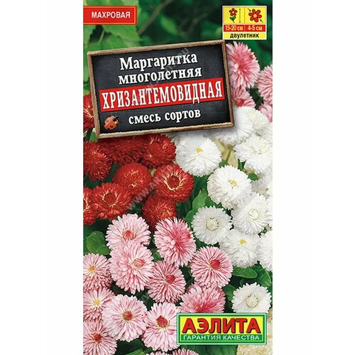 Маргаритка 