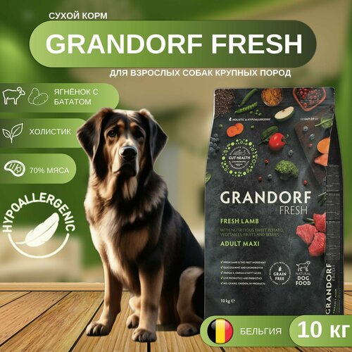 фото Сухой корм GRANDORF Fresh Dog Adult MAXI Lamb&Sweet Potato для собак крупных пород из свежего мяса ягненка с бататом, 10 кг