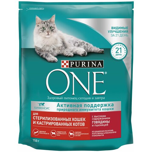 фото Сухой корм Purina ONE для стерилизованных кошек и кастрированных котов, с высоким содержанием говядины и пшеницей, Пакет, 750 г х 1 шт