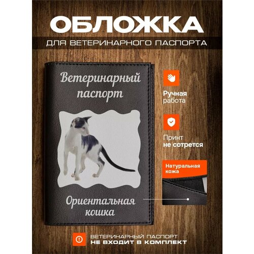 фото Обложка на ветеринарный паспорт для кошек с принтом Ориентальная кошка