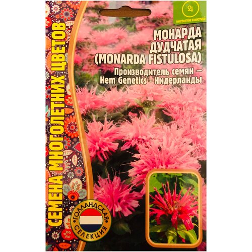 Семена Монарды дудчатой (Monarda fistulosa) (0,1 г) фото