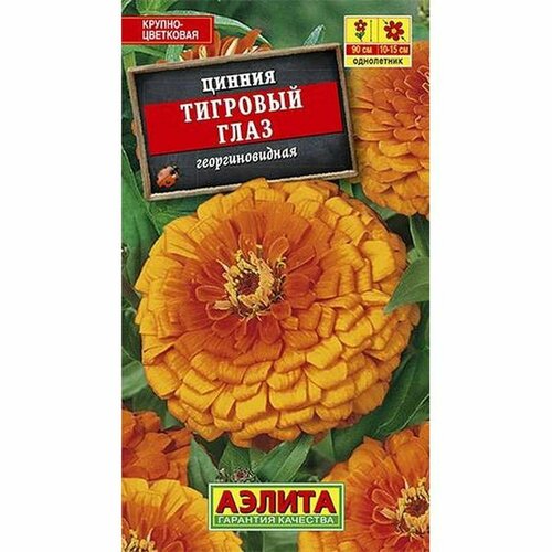 Семена Цинния Тигровый глаз, однолетник, (Аэлита) 0,3г фото