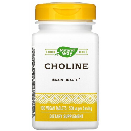 фото CHOLINE 500mg 100 tabs NW