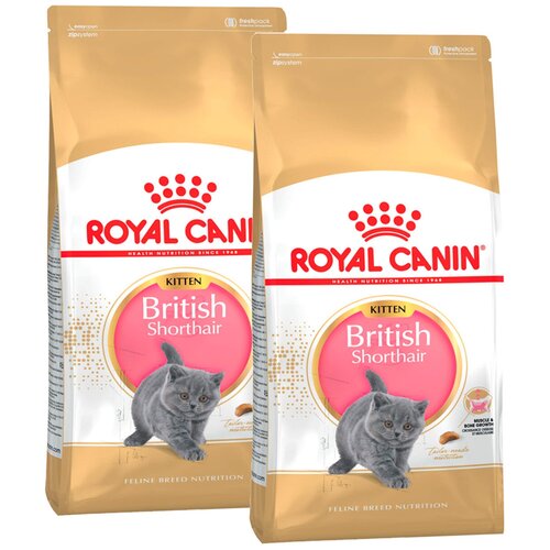 фото Сухой корм для котят Royal Canin Kitten British Shorthair для британских короткошерстных котят от 4 до 12 месяцев 2 уп. х 2000 г