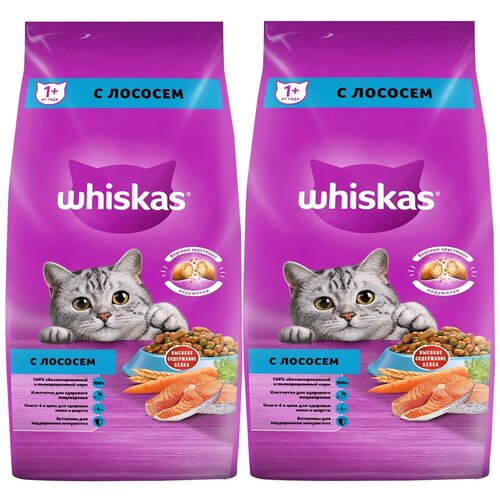 фото WHISKAS аппетитный обед для взрослых кошек c лососем с нежным паштетом (5 + 5 кг)