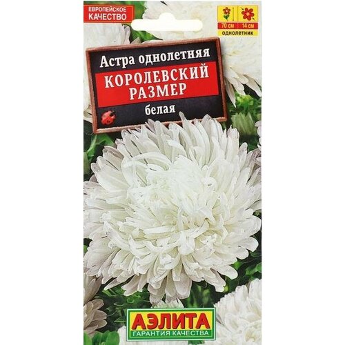 фото Семена Астра Королевский размер Белая пионовидная 0,1г Одн 90см (Аэлита)