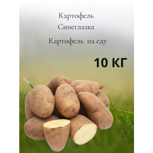 Картофель на еду Синеглазка, 10 кг фото