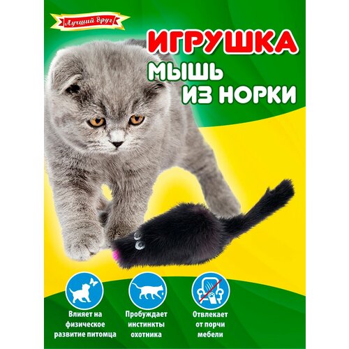 фото Игрушка для кошек и котят Лучший друг мышь из норки темная, 5см 07027-1