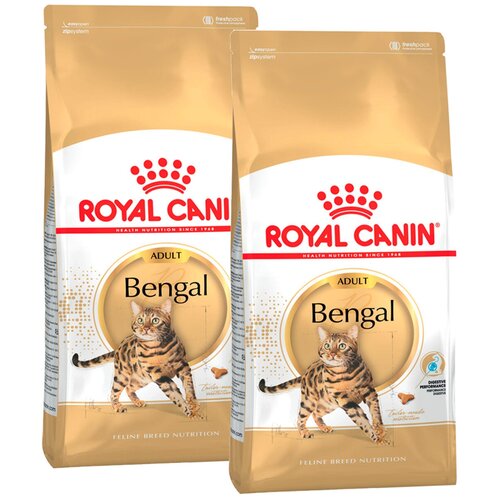 фото Сухой корм для кошек Royal Canin Bengal Adult для взрослых кошек бенгальской породы от 1 года до 12 лет 2 шт. х 400 г