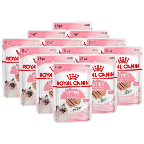 фото Royal Canin Консервы в виде паштета для котят с 4 до 12 месяцев и беременных кошек Kitten Loaf (85 г)