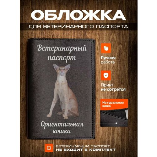 фото Обложка на ветеринарный паспорт для кошек Ориентальная кошка