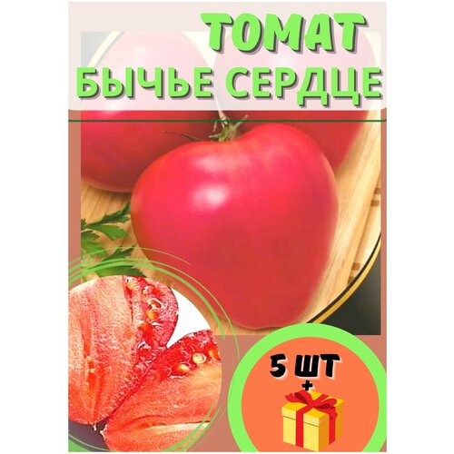 фото Томат 