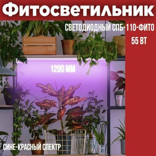 фото Светильник светодиодный СПБ-110-ФИТО сине-красный спектр 55Вт 1200мм IN HOME