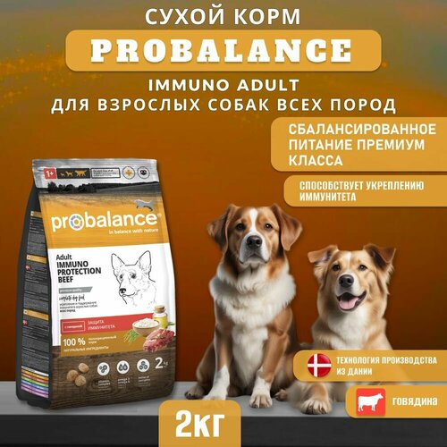 фото Сухой корм ProBalance Immuno Adult для взрослых собак всех пород с говядиной, 2 кг