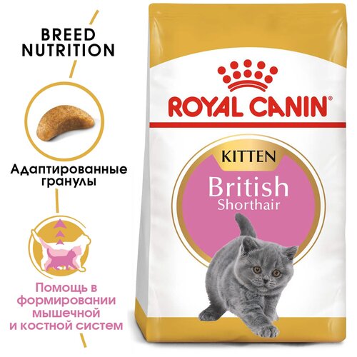 фото Сухой корм для котят Royal Canin Kitten British Shorthair для британских короткошерстных котят от 4 до 12 месяцев 2 уп. х 2000 г