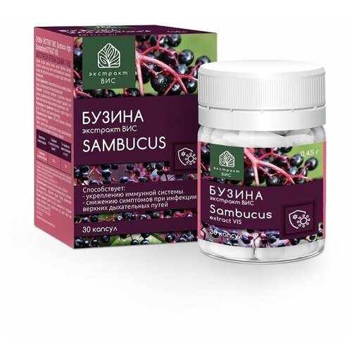 фото Бузина экстракт ВИС (Sambucus nigra Standardized EXTRACT VIS) капсулы 0,45 г №30