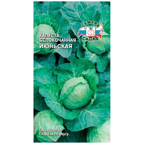 Семена Капуста Белокочанная Июньская 0,5г пачка, СеДеК. фото