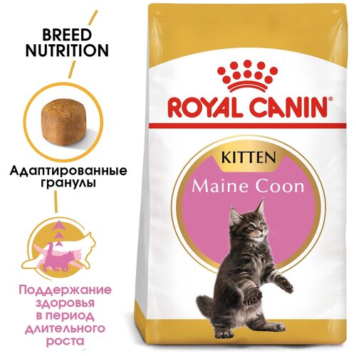 фото Сухой корм для котят Royal Canin Maine Coon Kitten для котят породы Мэйн Кун  от 4 до 15 месяцев 2 шт. х 2000 г