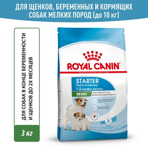 фото Сухой корм Royal Canin Mini Starter Mother & Babydog (Мини Стартер Мазе Энд Бэбидог) для беременных и кормящих собак и щенков до 2-х месяцев (для мелких пород), 3 кг