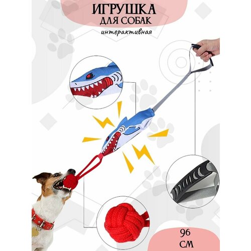 фото Игрушка Акула канат для собак с пищалкой