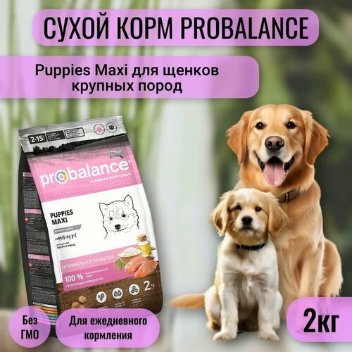 фото Сухой корм ProBalance Puppies Maxi для щенков крупных пород, 2кг