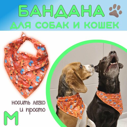 фото Бандана для собак и кошек, Funny dogs, M