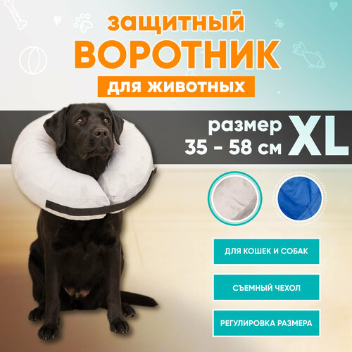 фото Защитный ветеринарный воротник для собак и кошек Mr Dog, XL