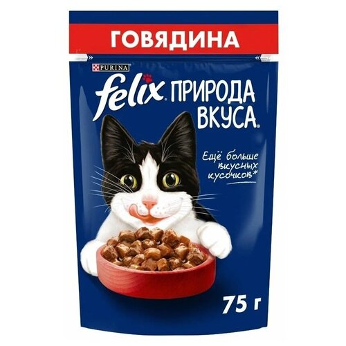 фото Влажный корм для взрослых кошек Felix Природа вкуса, с говядиной 75 г (кусочки в соусе)